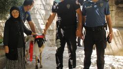 Hatay'da, kurban parasını kaybeden Rahme Teyze'ye sürpriz
