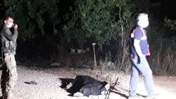 Şanlıurfa'daki arazi kavgasında 2 kişi hayatını kaybetti