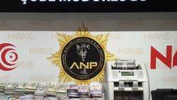 Bataklık Operasyonu'nda 34 şüpheli tutuklandı