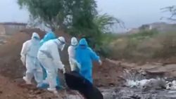 Hindistan'da korona kurbanlarına insanlık dışı muamele