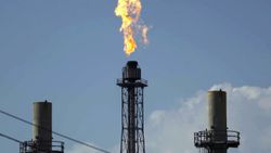 OPEC'in petrol üretimi 2019'da yüzde 6 düştü