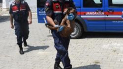 Kütahya’da zehirlenen köpeği jandarma tedavi ettirdi