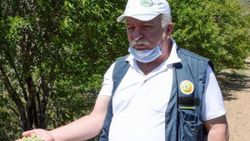 Kırşehir'deki dağ meyveleri ekonomiye kazandırılıyor