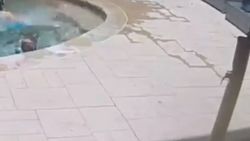 ABD'de bir kadın güneşlenirken ağacın altında eziliyordu