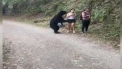 Meksika'da 3 kadın ayı ile selfie çekti