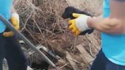 Bursa'da foseptik çukuruna düşen köpekler kurtarıldı
