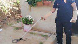 Kocaeli'nde tandıra giren yılan yakalandı