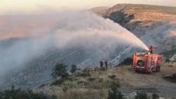 Hasankeyf'de çıkan yangında 2 bin dönümlük alan kül oldu
