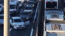 Merter'de trafiği durdurup kediyi kurtaran sürücü