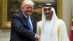Trump ve Zayed, Libya'yı görüştü