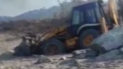 Antalya'da carettaların üreme alanına giren sürücü