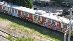 Sakarya'da tarihi boş vagonları grafiticiler renklendirdi