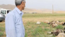 Yüksekova’ya yıldırım düştü: 1 ölü