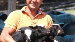 Yurt dışındaki kariyerini bırakıp Sivas’a yerleşti