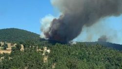 Çanakkale Yenice'de orman yangını
