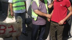 Adana'da görme engelli yetime kurban sürprizi