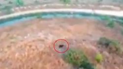 Antalya'da kaybolan keçi, drone ile bulundu
