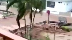 Isaias Kasırgası, Florida kıyılarına yaklaşıyor