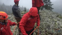 Artvin'de uçurumda mahsur kalan keçiyi AKUT kurtardı