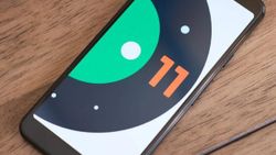 Android 11 güncellemesi almayacak 12 Xiaomi modeli