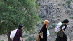 Hakkari'de süt sağmak için kilometrelerce yol yürüyorlar