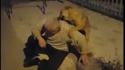 Zonguldak'ta kayıp köpeğiyle 3 ay sonra kavuştu
