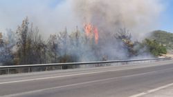 Antalya'da lastiği patlayan kamyon, yangına neden oldu