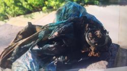 Porsuk Çayı'nda, balıkçıların oltasına el bombası takıldı