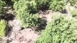 İzmir'de drone destekli uyuşturucu operasyonu
