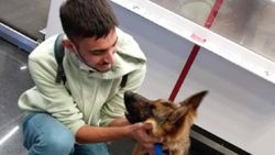 Sopayla dövülen Pongo'yu İtalyan aile sahiplendi
