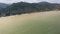 Giresun'da sel sonrası Karadeniz'e çamur aktı