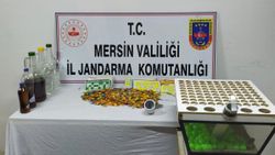 Mersin'de kumar operasyonu: 35 kişiye 166 bin 63 TL ceza