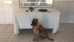 Samsun'nda 2 uyuşturucu operasyonu