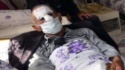Kars'ta odun toplamak için ormana gitti, ayı saldırısına uğradı