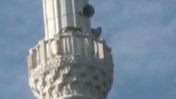Manisa'da tilki cami minaresine çıktı
