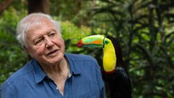 Sir David Attenborough, Instagram'da 1 milyon takipçiye en kısa sürede ulaşan isim oldu