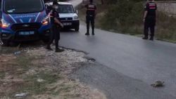 Uşak'ta jandarma ekipleri kaplumbağa için trafik durdurdu