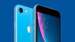 iPhone SE 3'e ait yeni bilgiler ortaya çıktı