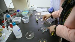Türk bilim insanlarından güneş pillerinin verimliliğini artıran buluş