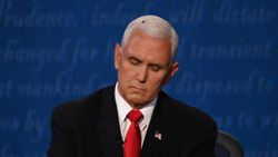 Mike Pence'in başına konan sinek Twitter'da 95 bin takipçi kazandı