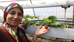 Karabük’te 4'üncü kat penceresinden düşen kadın öldü