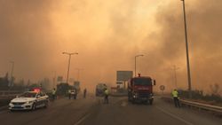 Hatay'da orman yangını