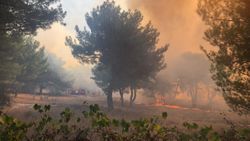 AFAD: Hatay'da şu ana kadar 542 kişi tahliye edildi