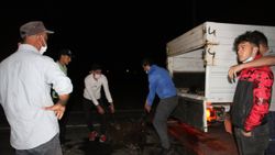 Erzincan'da otomobil sürüye çarptı: 5 koyun telef oldu
