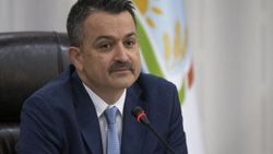 Bekir Pakdemirli: Yanan alanların tamamı yeniden ağaçlandırılacak