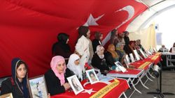 Avrupa, Diyarbakır Annelerini görmezden geliyor