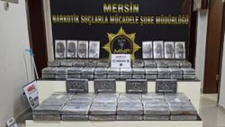 Mersin Limanı'nda 220 kilogram kokain yakalandı