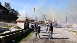 Bolu’da Kuzfındık köyü alevlere teslim oldu