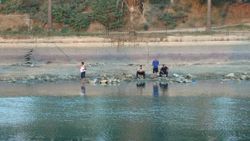 Adanalılar balık tutmak için suyu çekilen Seyhan Nehri'ne indi