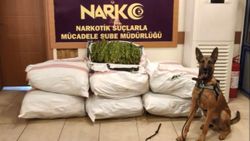 Osmaniye’de tır dorsesinde 135 kilo esrar ele geçirildi